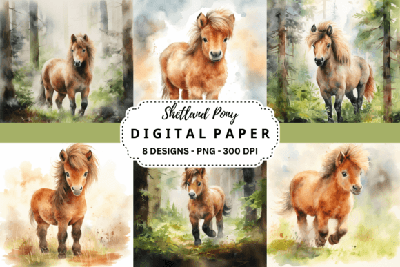 Charming Watercolor Shetland Pony Backgrounds for Creatives
